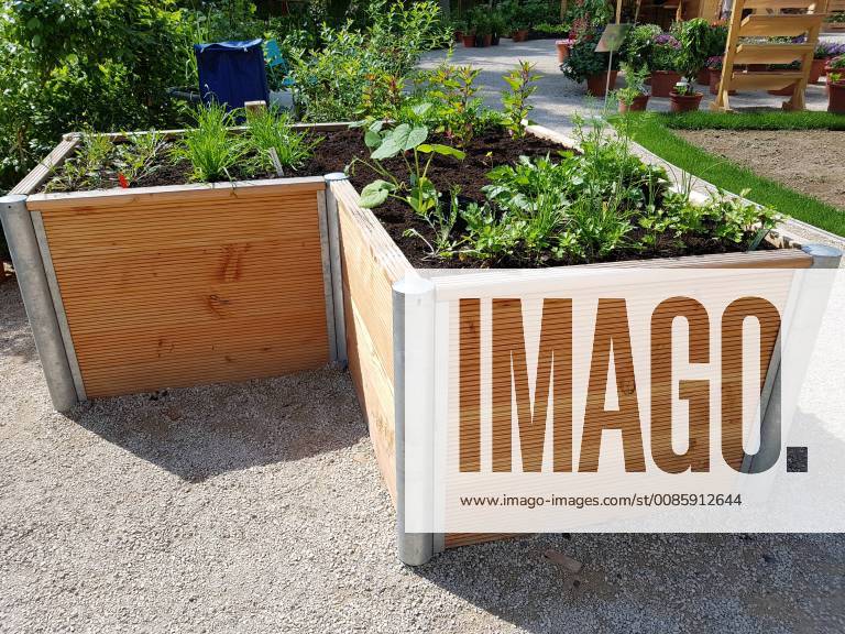 Raised bed of herbs Vegetables raised bed Herbs Vegetables
