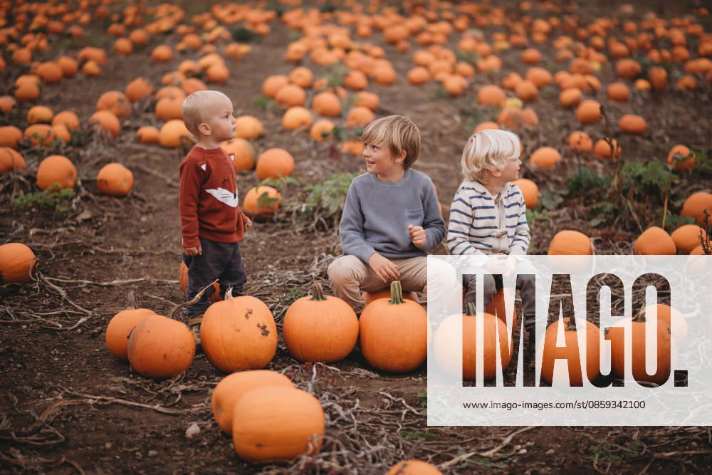 Beautiful children brothers at pumpkin farm during Fall Morton, Illinois, United States CR_TANI260616-2046962-01 ,model released, Symbolfoto