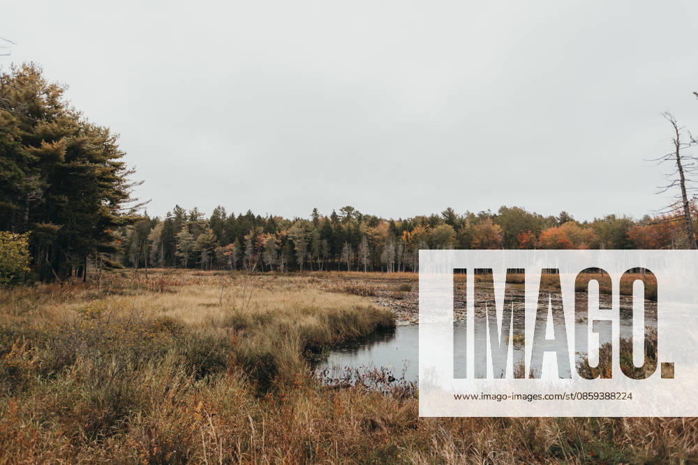 Long Pond, Mt Desert Island Maine, Acadia National Park Mount Desert, Maine, United States R_XPQF260615-2052216-01