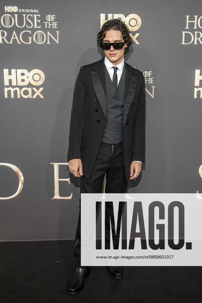 ABB HBO Harry Collett, wearing sunglasses, walked the red carpet at the German premiere of the third season of the HBO Original series House of the Dragon at Kino International on June 19, 2026, in Berlin, Germany,detected_source_language