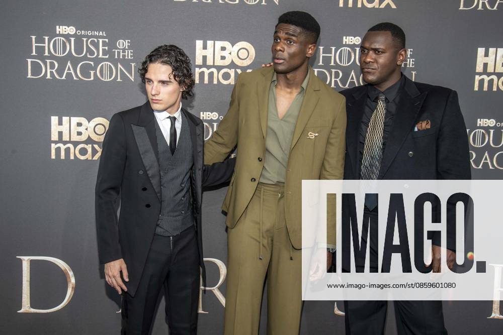 ABB HBOs Harry Collett, Clinton Liberty, and Abubakar Salim walked the black carpet at the German premiere of the third season of the HBO Original series House of the Dragon at Kino International on June 19, 2026, in Berlin, Germany,detected_source_language