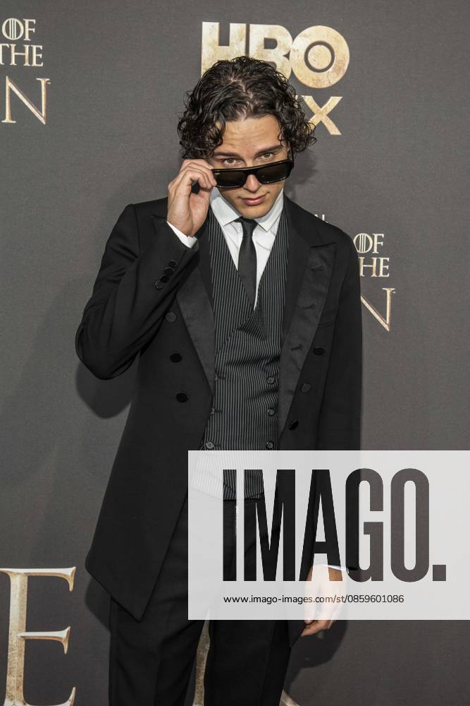 ABB HBO Harry Collett, wearing sunglasses, walked the red carpet at the German premiere of the third season of the HBO Original series House of the Dragon at Kino International on June 19, 2026, in Berlin, Germany,detected_source_language
