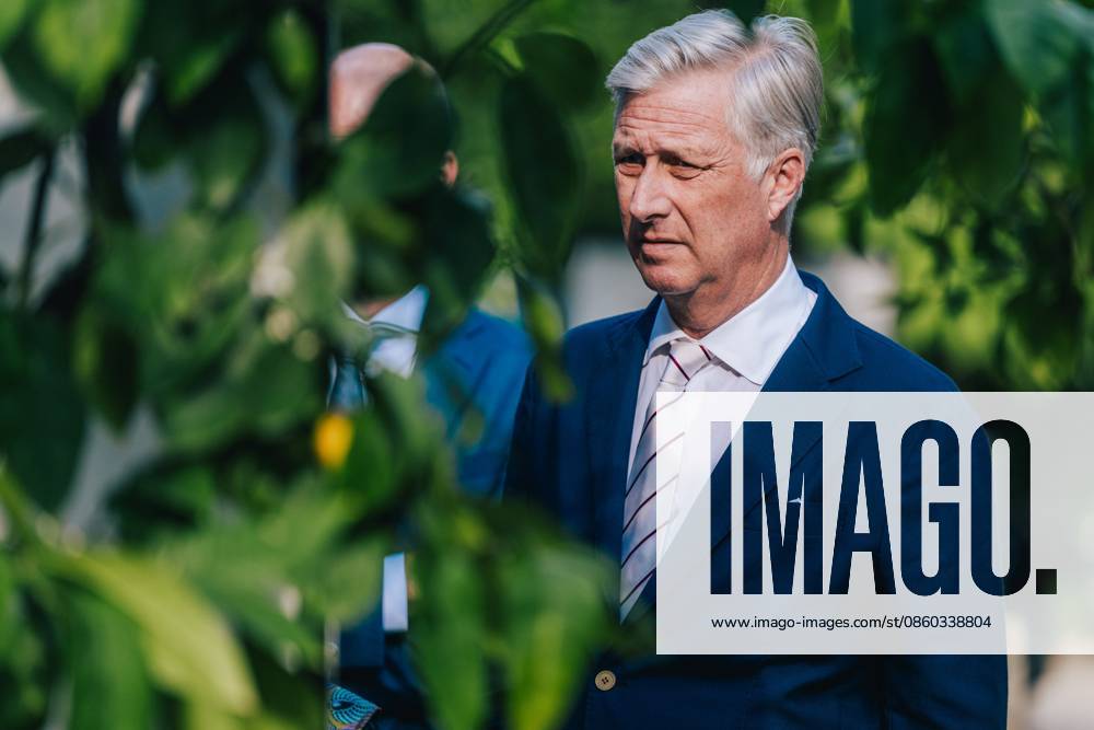 King Philippe - Filip of Belgium pictured during a royal visit for the celebration of the 100th Anniversary of Virunga National Park at the Meise Botanical Garden, on Monday 29 June 2026. EMILExWINDAL 179906694