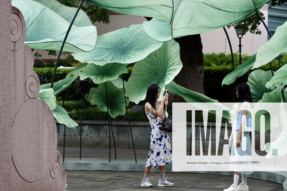 Tourists take photos of giant lotus leaf art installations during a lotus market at the Confucius Temple on July 4, 2026 in Hangzhou, Zhejiang Province of China.