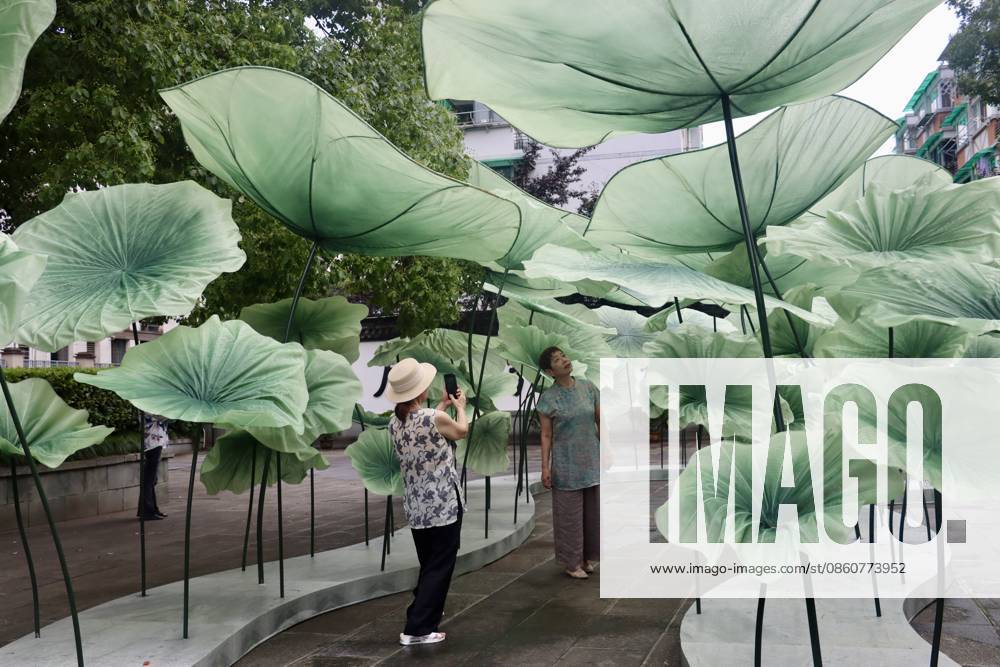 Giant lotus leaf installations are displayed during a lotus market at the Confucius Temple on July 4, 2026 in Hangzhou, Zhejiang Province of China.