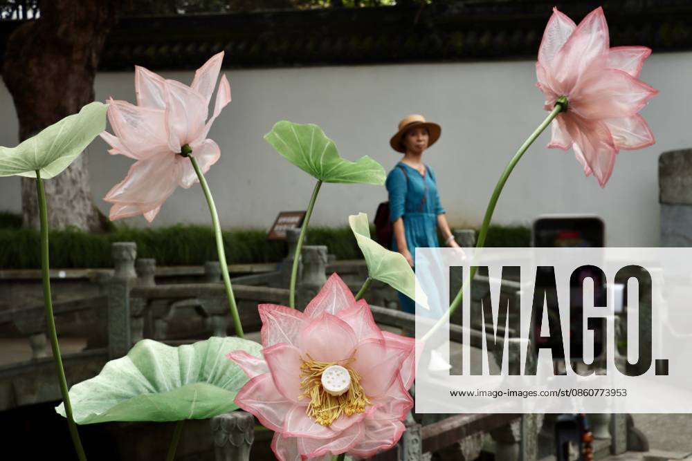 A visitor walks among lotus art installations during a lotus market at the Confucius Temple on July 4, 2026 in Hangzhou, Zhejiang Province of China.
