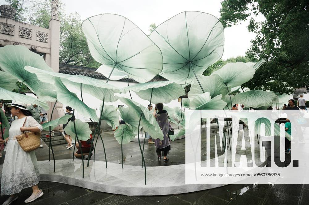 Lotus Leaf Art Installation Citizens enjoy the cool breeze under an art installation composed of giant lotus leaves in Hangzhou, Zhejiang Province, China on July 5, 2026. Hangzhou Zhejiang China