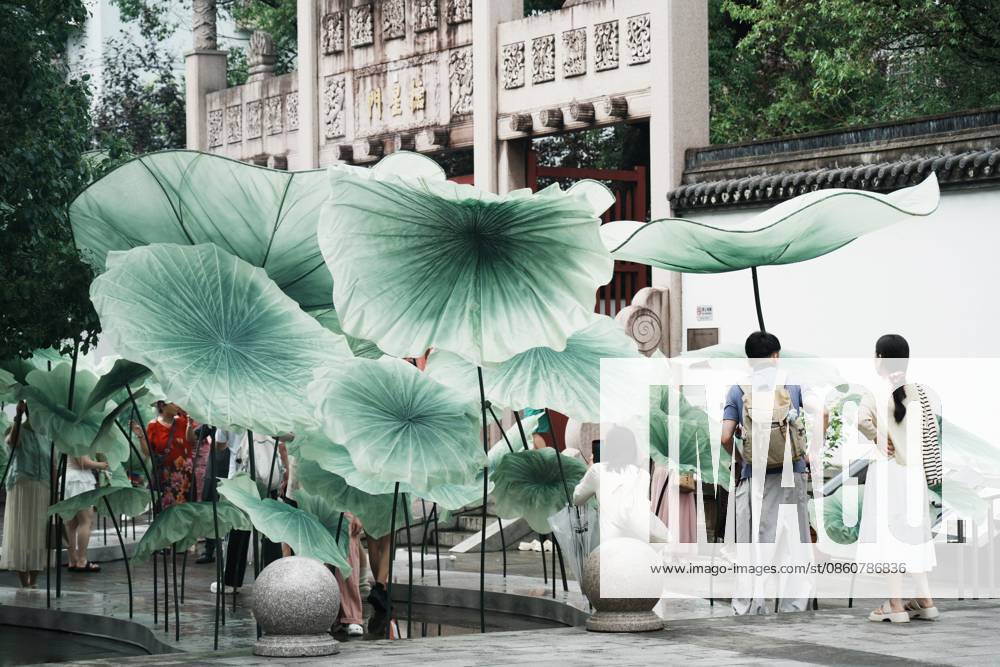 Lotus Leaf Art Installation Citizens enjoy the cool breeze under an art installation composed of giant lotus leaves in Hangzhou, Zhejiang Province, China on July 5, 2026. Hangzhou Zhejiang China