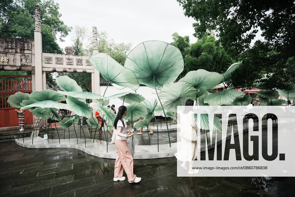 Lotus Leaf Art Installation Citizens enjoy the cool breeze under an art installation composed of giant lotus leaves in Hangzhou, Zhejiang Province, China on July 5, 2026. Hangzhou Zhejiang China