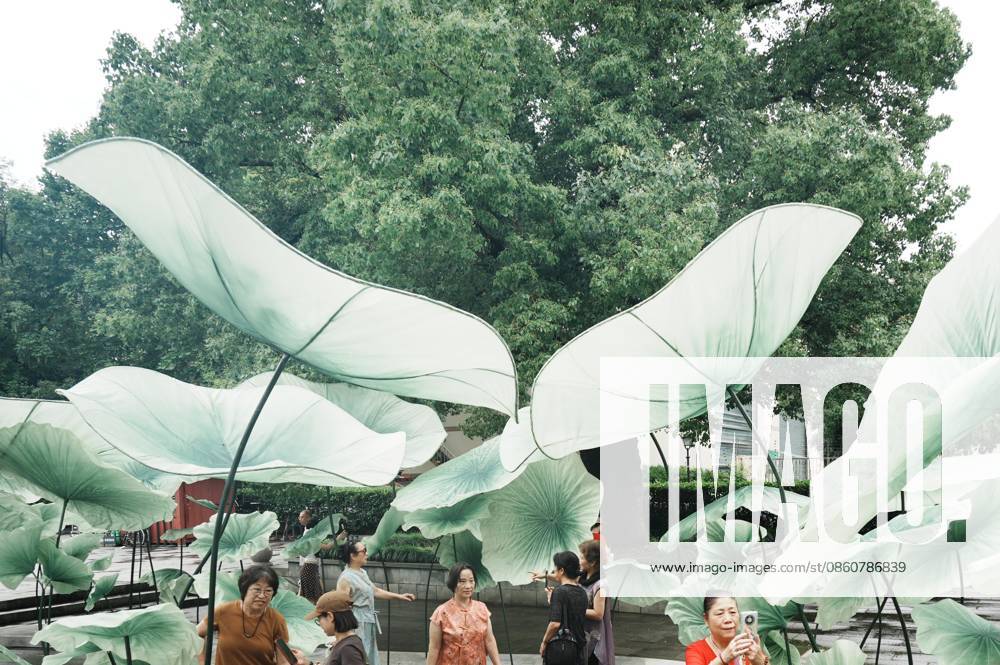 Lotus Leaf Art Installation Citizens enjoy the cool breeze under an art installation composed of giant lotus leaves in Hangzhou, Zhejiang Province, China on July 5, 2026. Hangzhou Zhejiang China
