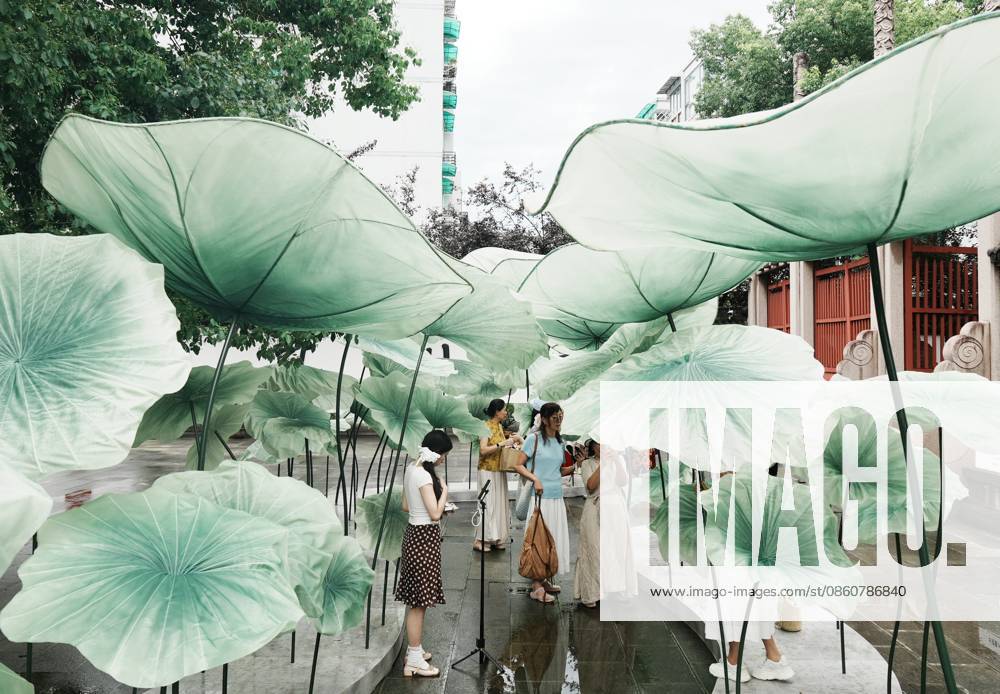 Lotus Leaf Art Installation Citizens enjoy the cool breeze under an art installation composed of giant lotus leaves in Hangzhou, Zhejiang Province, China on July 5, 2026. Hangzhou Zhejiang China