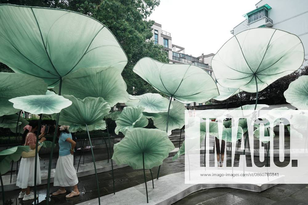 Lotus Leaf Art Installation Citizens enjoy the cool breeze under an art installation composed of giant lotus leaves in Hangzhou, Zhejiang Province, China on July 5, 2026. Hangzhou Zhejiang China