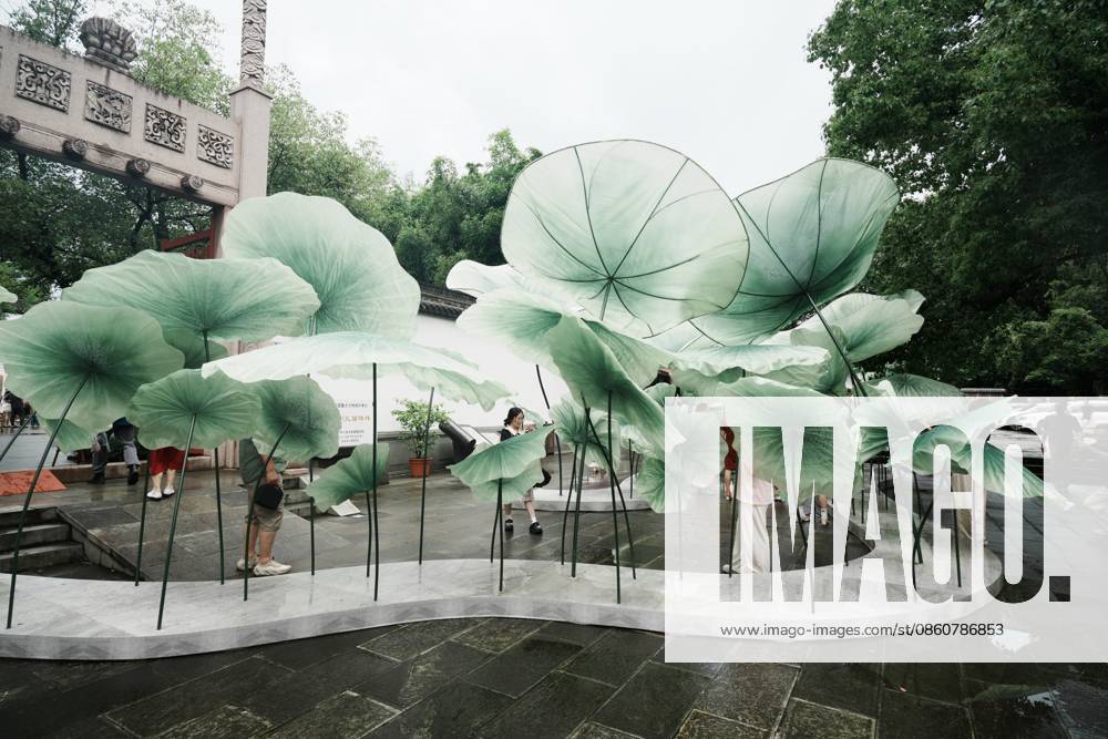 Lotus Leaf Art Installation Citizens enjoy the cool breeze under an art installation composed of giant lotus leaves in Hangzhou, Zhejiang Province, China on July 5, 2026. Hangzhou Zhejiang China