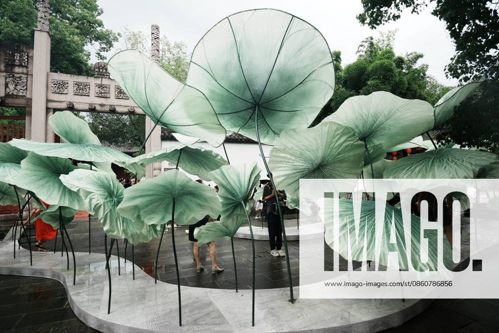 Lotus Leaf Art Installation Citizens enjoy the cool breeze under an art installation composed of giant lotus leaves in Hangzhou, Zhejiang Province, China on July 5, 2026. Hangzhou Zhejiang China