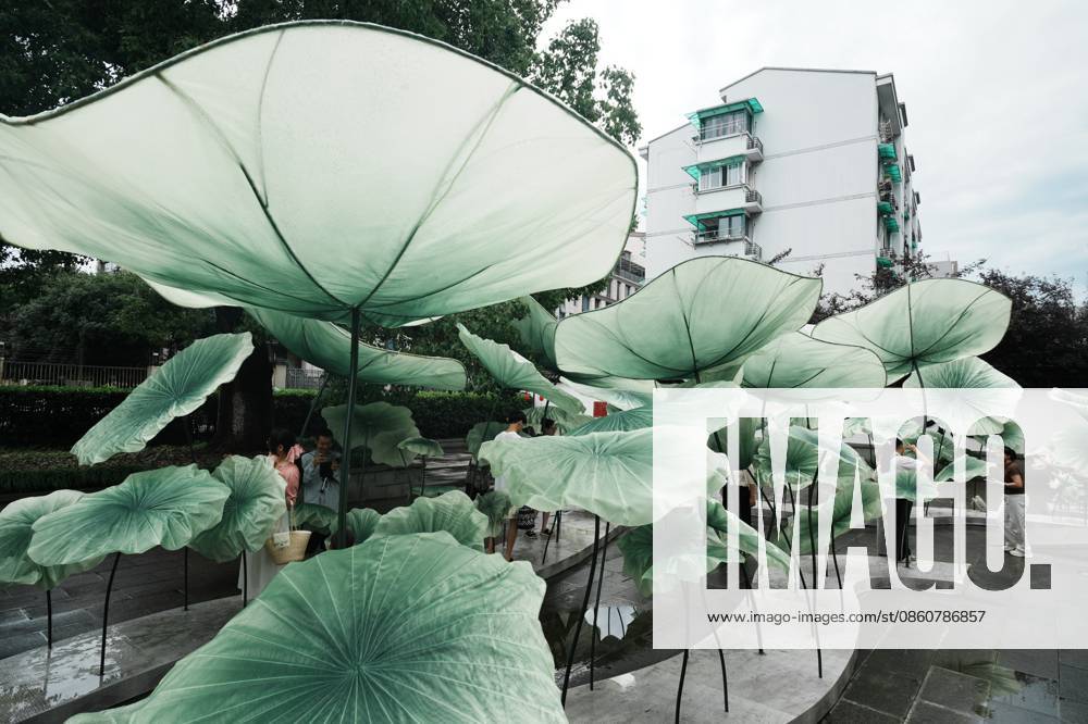 Lotus Leaf Art Installation Citizens enjoy the cool breeze under an art installation composed of giant lotus leaves in Hangzhou, Zhejiang Province, China on July 5, 2026. Hangzhou Zhejiang China