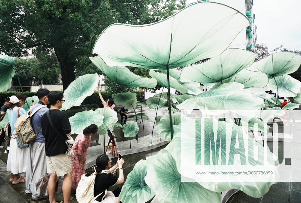 Lotus Leaf Art Installation Citizens enjoy the cool breeze under an art installation composed of giant lotus leaves in Hangzhou, Zhejiang Province, China on July 5, 2026. Hangzhou Zhejiang China