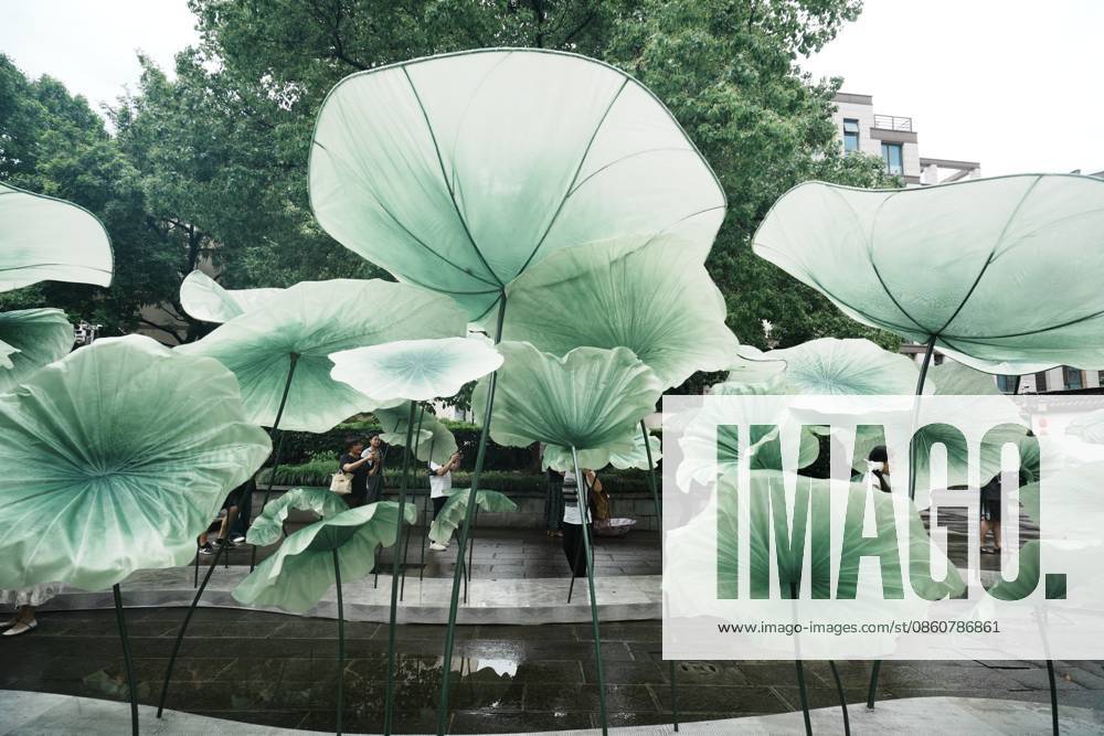 Lotus Leaf Art Installation Citizens enjoy the cool breeze under an art installation composed of giant lotus leaves in Hangzhou, Zhejiang Province, China on July 5, 2026. Hangzhou Zhejiang China