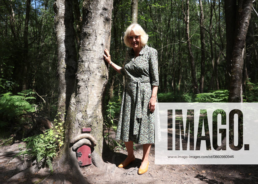 Queen Camilla Commemorates 100 Years Of Winnie The Pooh in Hartfield, UK, 07 July 2026 HARTFIELD, ENGLAND - JULY 07: Queen Camilla during her visit to Ashdown Forest to commemorate 100 Years of Winnie-the-Pooh at Ashdown Forest on July 07, 2026 in Hartfield, England. Ashdown Forest was the inspiration for the Hundred Acre Wood in A.A. Milne s classic Winnie-the-Pooh children s books. The Queen visited the forest in her role as patron of the Royal Literary Fund., Credit:Chris Jackson PA ROTA - B68 Avalon Hartfield, United Kingdom
