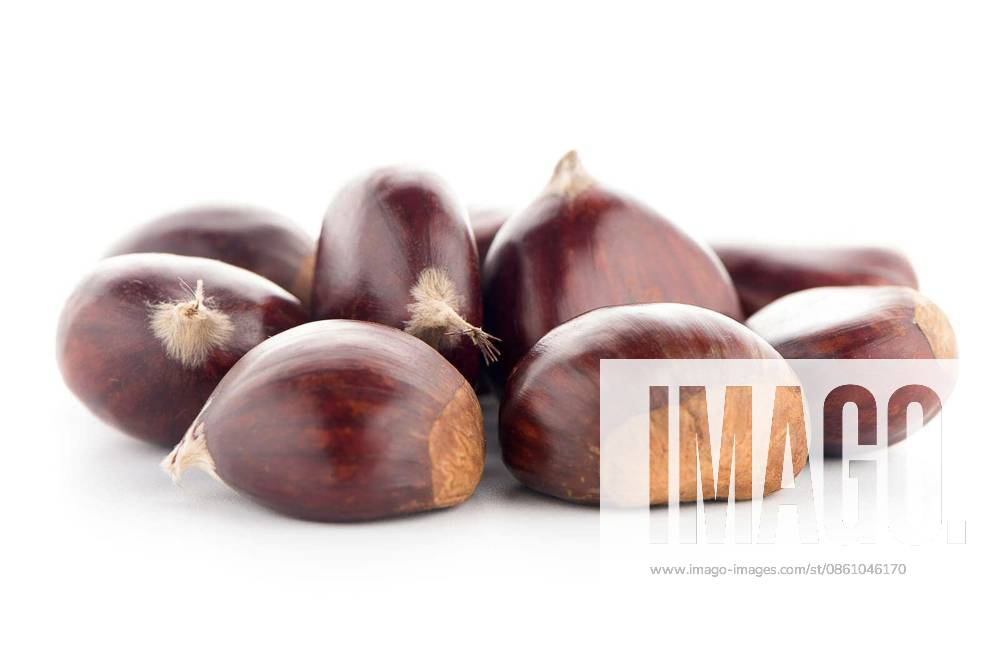 Chestnuts with shell isolated on white background.