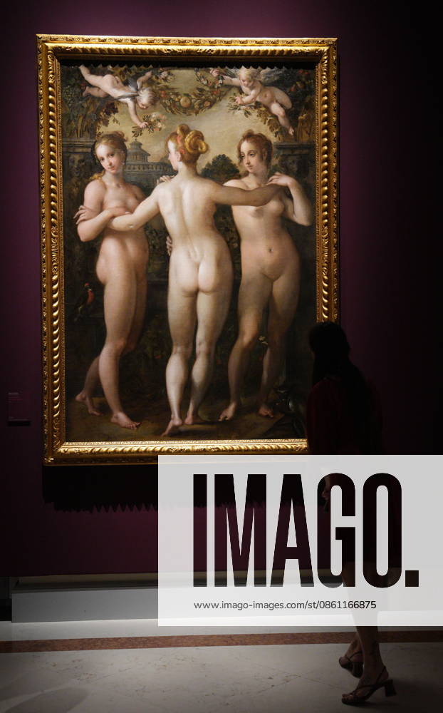 IPA86532508 - Milan, Preview of the Exhibition Beauty and Ugliness: Ideal, Real, and Caricatured in the Renaissance at the Gallerie d’Italia in Piazza Scala