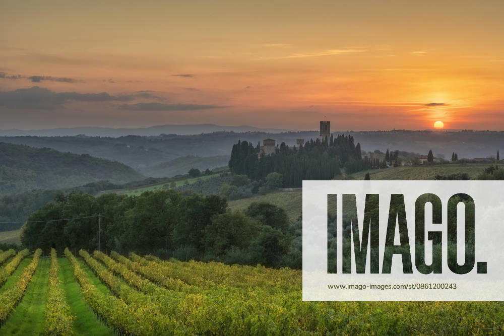 Sonnenuntergang über den Weinbergen des Chianti und der Abtei Badia a Passignano, Toskana Sunset view of autumn vineyards in the Chianti region with the historic abbey of Badia a Passignano surrounded by cypress trees, Tuscany, Italy (License=RF)