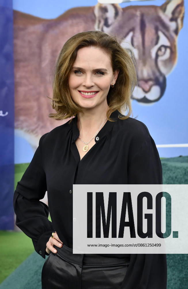 Actress Emily Deschanel attends the premiere of the Netflix sport comedy TV series The Hawk at the Directors Village in the Westwood section of Los Angeles on Thursday, July 9, 2026. Storyline Follows Lonnie Hawkins, 2004 s top golfer, as he struggles to recapture his magic late in his career, refusing to believe he s anything other than one stroke away from golf s greatest comeback. LAP2026070956 JIMxRUYMEN