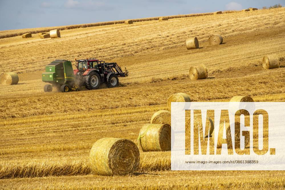 Straw Harvest: After the grain harvest, the straw—which has been mowed, dried, and laid out in rows (known as swaths)—is picked up by a round baler pulled by a tractor, where it is compressed into bales and set down in the field; it serves as livestock feed. In Mülheim-Menden, a field on Mendener Straße, in the height of summer, w
