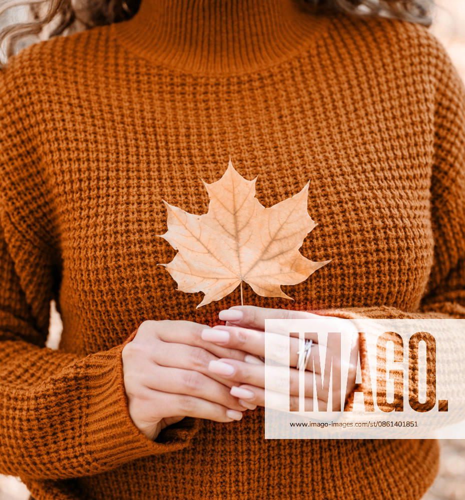 Farbe des Jahres 2024: Peach Fuzz. Eine junge, fröhliche Frau sammelt Blätter in einem herbstlichen Wald Color of the year 2024: Peach Fuzz.Young happy woman in red sweater gathering leaves in autumn forest (License=RF) ,model released, Symbolfoto
