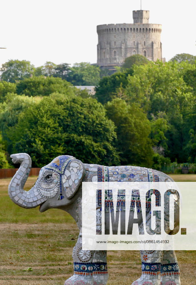 Trunks Across The Thames Your Majesty in Windsor Great Park. Trunks across the Thames is Thames Hospices very first art trail which will see businesses, schools, community groups and artists unite to create a free, fun, family-friendly trail of discovery for the local community to explore and enjoy. The majestic herd will be marching between 13th July to 13th September 2026! The herd of individually designed magnificent elephant sculptures will bring vibrancy, colour and creative artistry, transforming the streets, parks and open spaces of Slough, Eton and Windsor into a glorious open-air gallery., Credit:Geoffrey Swaine Geoff Swaine - B4563 Avalon UK, Berkshire, Windsor