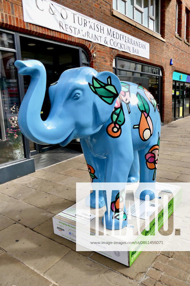 Trunks Across The Thames Season Change in Peascod Street by Richard Phipson. Trunks across the Thames is Thames Hospices very first art trail which will see businesses, schools, community groups and artists unite to create a free, fun, family-friendly trail of discovery for the local community to explore and enjoy. The majestic herd will be marching between 13th July to 13th September 2026! The herd of individually designed magnificent elephant sculptures will bring vibrancy, colour and creative artistry, transforming the streets, parks and open spaces of Slough, Eton and Windsor into a glorious open-air gallery., Credit:Geoffrey Swaine Geoff Swaine - B4563 Avalon UK, Berkshire, Windsor