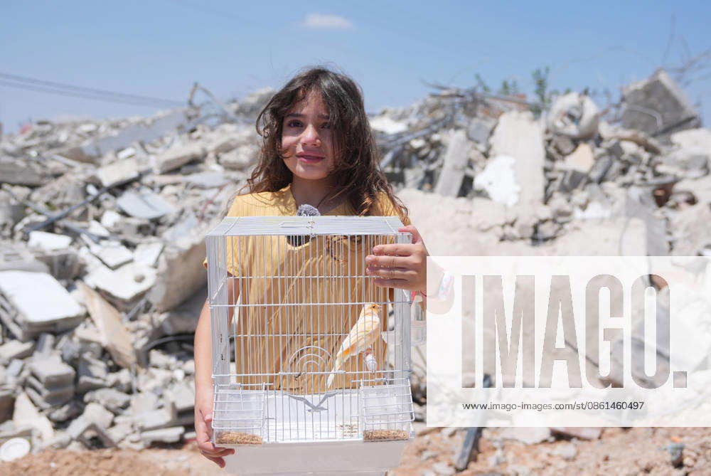 Israel demolishes Palestinian home in the West Bank SALFIT, WEST BANK, PALESTINE - JULY 13: A girl holds a bird cage in front of debris as Israeli forces demolish the home of Palestinian Hasan al-Rinawi with a bulldozer and heavy machinery alleging it was built without a permit in the village of Kufr al Dik, west of Salfit in the West Bank, Palestine, on July 13, 2026. Issam Rimawi Anadolu Salfit West Bank. Editorial use only. Please get in touch for any other usage.