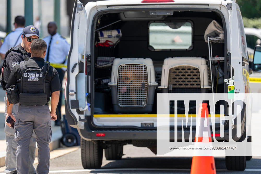 US Capitol Police inspect a vehicle after a man with a gun and dog entered a restricted area in Washington, D.C. on July 13, 2026. The man and dog were taken into custody. Us Capitol United States - ZUMAl312 20260713_znp_l312_013