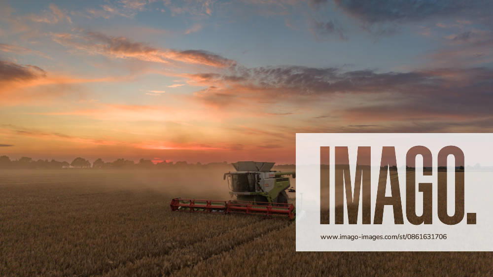 Rye is being harvested in a field near Pasewalk, Pasewalk, Mecklenburg-Western Pomerania, Germany