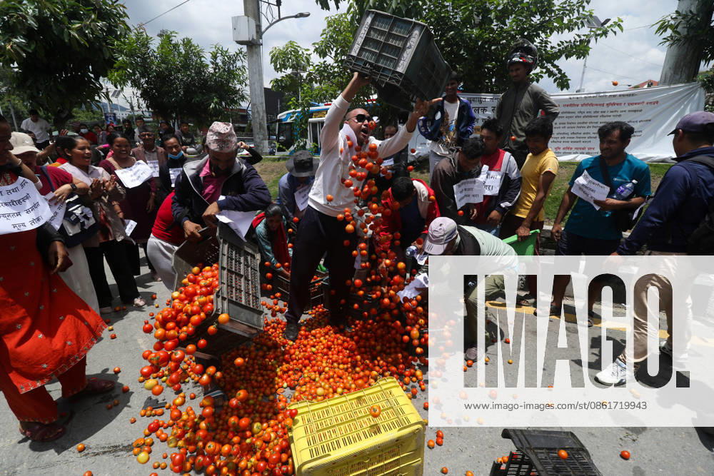Nepali farmers throw tomatoes on the road during a protest demanding fair market prices in Kathmandu, Nepal. Kathmandu Nepal - ZUMAd164 20260715_zip_d164_002