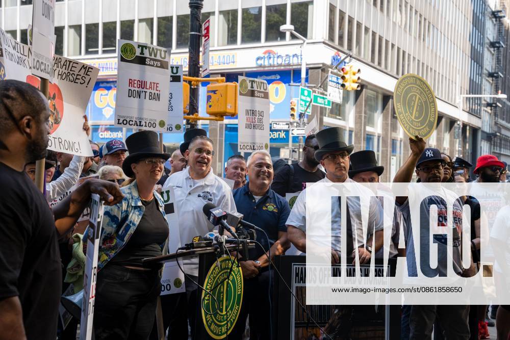 The City Council held a hearing to consider a bill, known as Romanchâ€⠢s Law, that would phase out and eventually ban horse-drawn carriages...The bill is named after the 18-year-old tourist from India who was killed last month when he was thrown from a runaway carriage in Central Park after the horse was spooked. New York USA - ZUMAs142 20260716_fap_s142_001