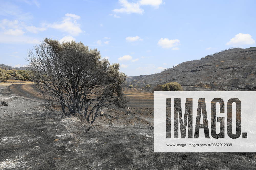 The Cinco Villas wildfire has now burned some 15,400 hectares. Area of land burned during a wildfire on the road between Orés and Luesia, on July 18, 2026, in Las Cinco Villas, Zaragoza, Aragon, Spain. Firefighting efforts have succeeded in protecting the town center of Luesia from the flames of the wildfire that began on Wednesday in Orés, in the Cinco Villas region, and which remains out of control, with a preliminary estimate early Saturday morning of 15,400 hectares affected within a 60-kilometer radius. In recent hours, the fire has spread in sectors 5 and 1, corresponding to the left flank, driven by wind and the topography. The Government of Aragon maintains Operational Situation 2, Level 2, under the Special Civil Protection Plan f