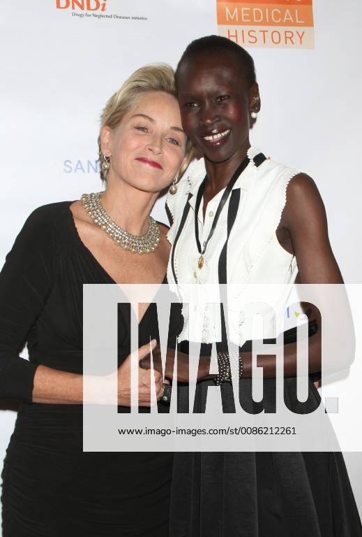 NEW YORK, NY - OCTOBER 24: Sharon Stone, Alek Wek at the Drugs for Neglected Diseases Initiative Inaugural Making Medical History Gala at the Bowery Hotel in New York City on October 24, 2018.