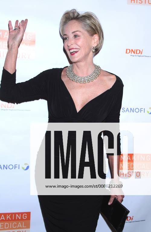 NEW YORK, NY - OCTOBER 24: Sharon Stone at the Drugs for Neglected Diseases Initiative Inaugural Making Medical History Gala at the Bowery Hotel in New York City on October 24, 2018.