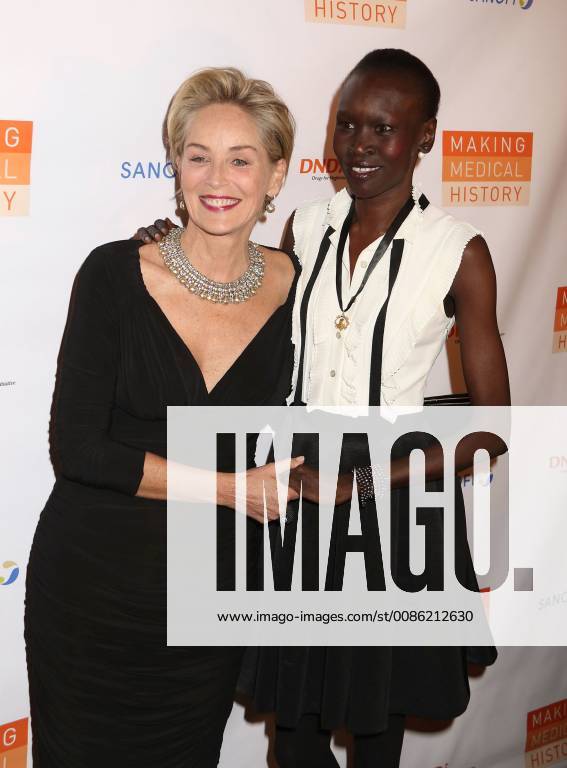 New York City, New York, U.S. - Actress SHARON STONE and model ALEK WEK attend the Drugs for Neglected Diseases initiatives (DNDi) celebrates inaugural Making Medical History Gala held the Bowery Hotel. New York City U.S. - ZUMAk03_ 20181024_zaf_k03_146