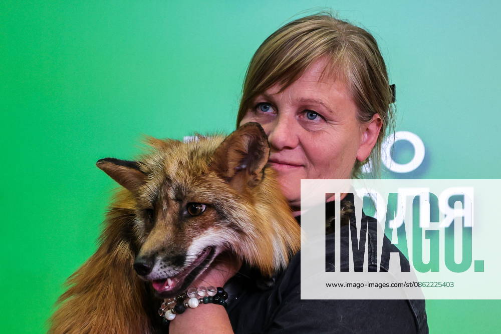 #2 RUSSIA, MOSCOW - JULY 20, 2026: A woman with the fox who starred as Ryzhy Red at the Moscow premiere of Anna Kurbatova s film My Wild Friend: Returning Home . Yevgeny Messman TASS 95266454