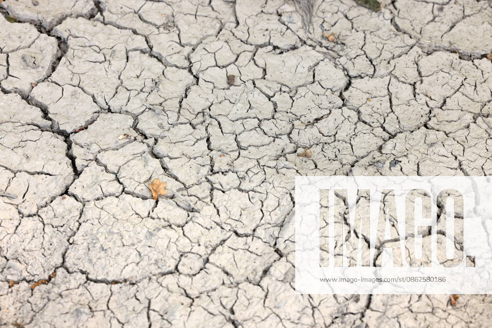 Illustrative image on the topic of severe drought: Parched, cracked soil near Siegen and Oberschelden. Summer in the Siegerland region on July 24, 2026, in Siegen, Germany