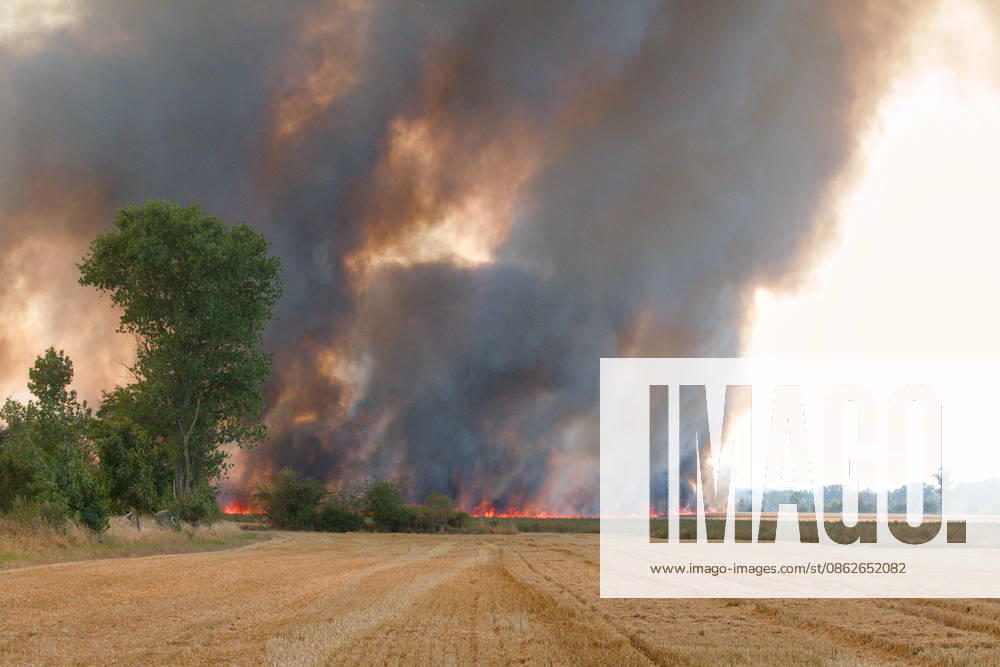 Field fire near Wadendorf, Zörbig, Anhalt-Bitterfeld, Saxony-Anhalt Second field fire between Wadendorf and Löberitz A field is ablaze Zörbig, Saxony-Anhalt, Germany