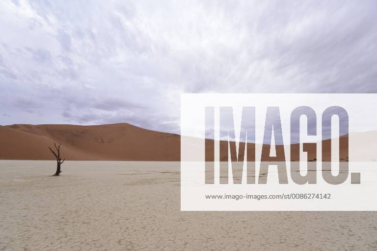 Africa Namibia Sossusvlei Deadvlei Dead Acacia Trees