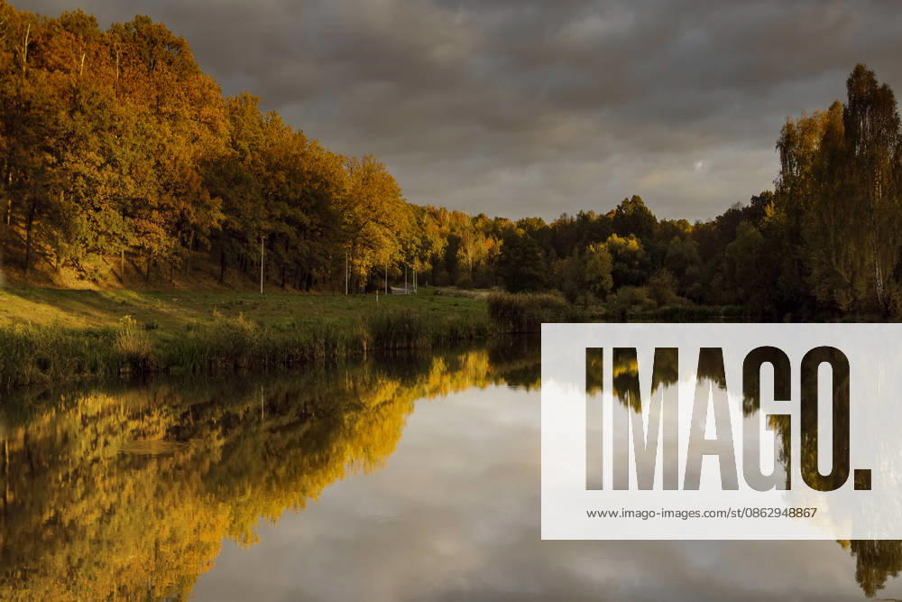 Golden autumn forest reflecting in a calm lake Zgorzelec, Lower Silesian Voivodeship, Poland CR_ZBZB260728-2089245-01 ,model released, Symbolfoto ,property released