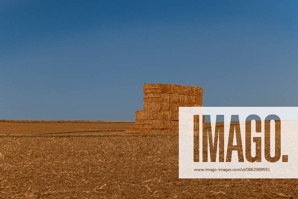 Straw bales in a harvested grain field under a blue summer sky, July 29, 2026, Selters; stock photo, illustrative image, symbolic image, illustrative photo, Everyday scene: A stack of rectangular straw bales stands in a harvested grain field in an open agricultural