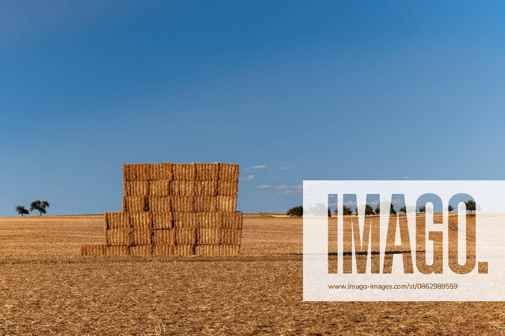Straw bales in a harvested grain field under a blue summer sky, July 29, 2026, Selters; stock photo, illustrative image, symbolic image, illustrative photo, Everyday scene: A stack of rectangular straw bales stands in a harvested grain field in an open agricultural