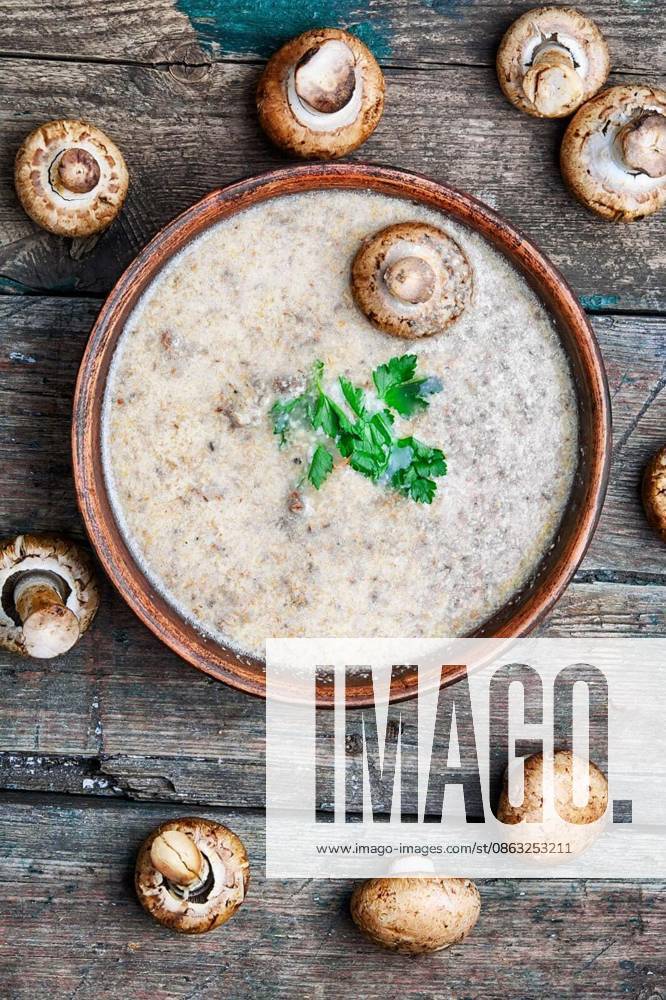 Plate of cream soup from the harvest of fresh autumn mushrooms