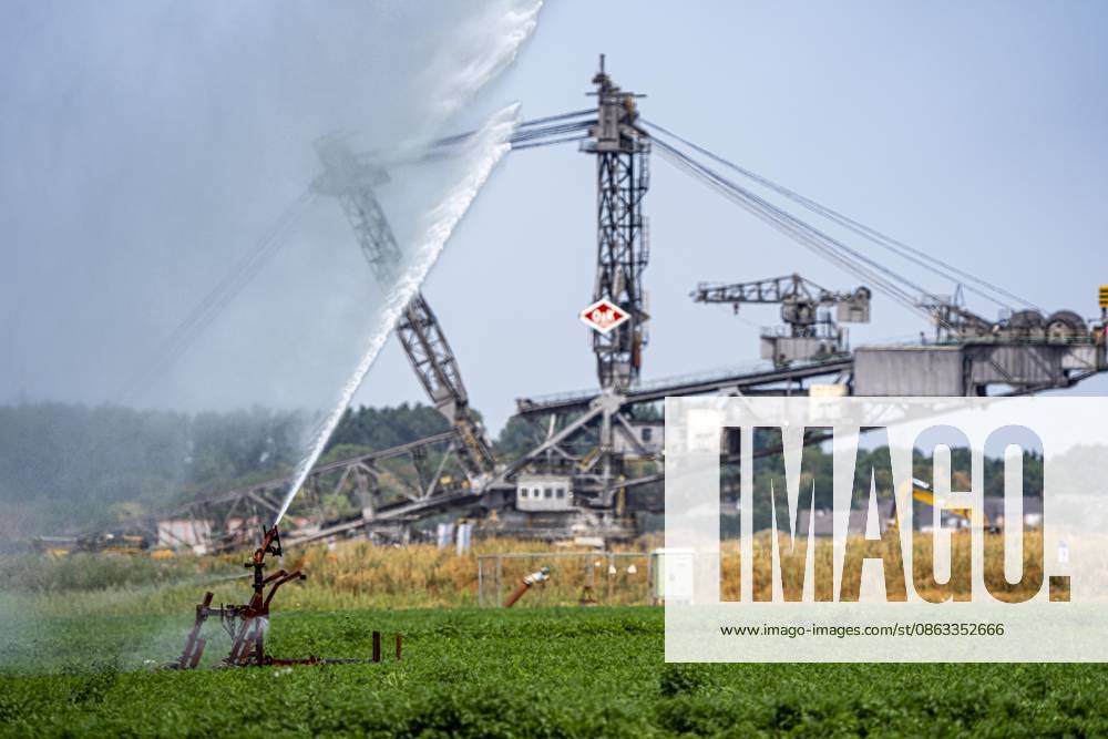 Artificial irrigation of a carrot field using a sprinkler system; a prolonged summer drought makes this necessary to ensure the harvest, near Erkelenz-Holzweiler, at the Garzweiler open-pit lignite mine, lignite excavators, North Rhine-Westphalia, Germany; Artificial irrigation
