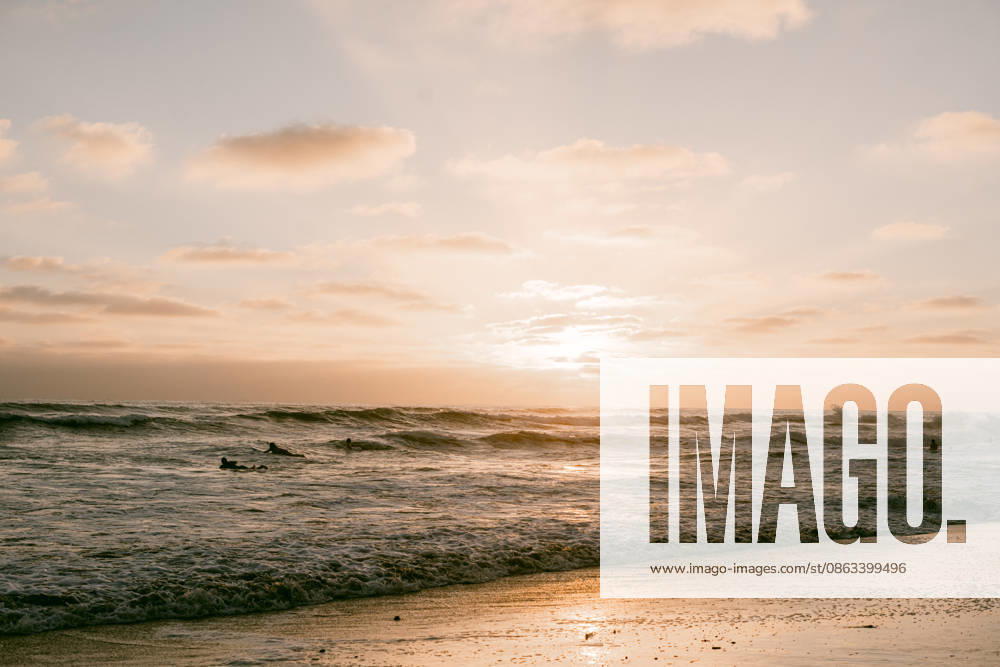 Surfers in the ocean during a golden sunset Oceanside, California, United States R_HVJM260804-2092714-01 ,model released, Symbolfoto ,property released