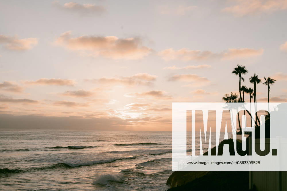 California coastline with palm trees at golden hour Encinitas, California, United States R_HVJM260804-2092717-01 ,model released, Symbolfoto ,property released